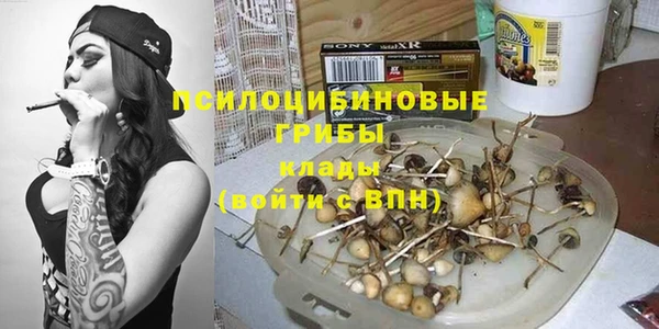 амф Алексеевка