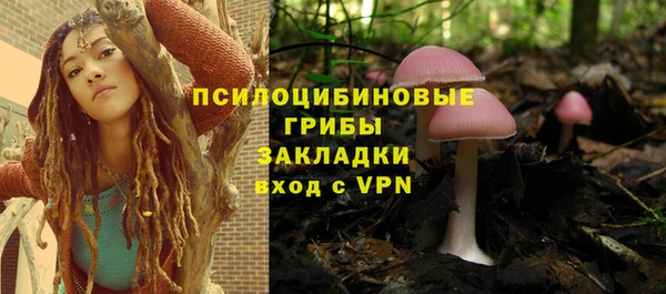 a pvp Алексин